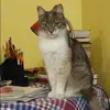 Отзыв от Яна Ершова